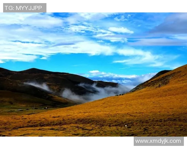 何思雨的成长之路与人生哲学探索：从校园到职场的心灵旅程