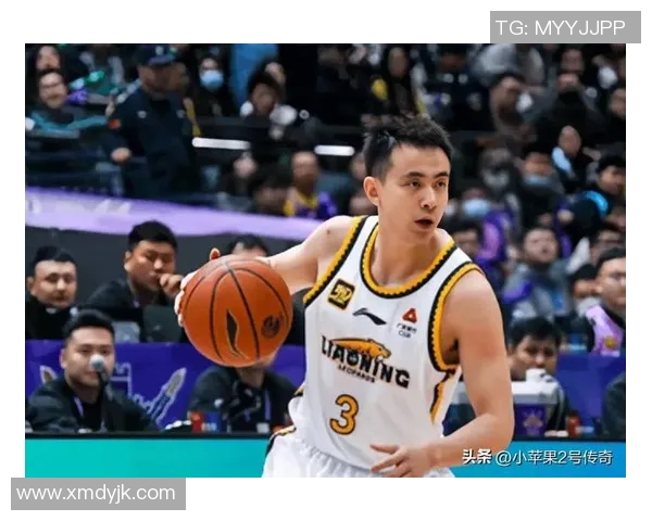 CBA辽宁男篮与新疆队精彩对决回放分析及赛后点评