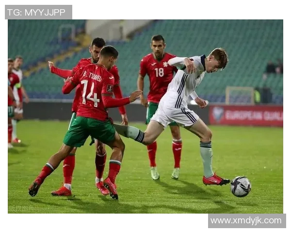 爱尔兰与保加利亚足球赛精彩比分结果分析与回顾