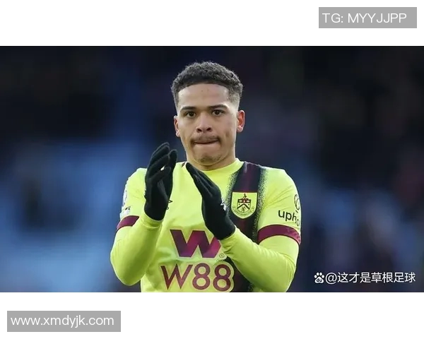 斯旺西与伯明翰足球历史交锋回顾与战绩分析