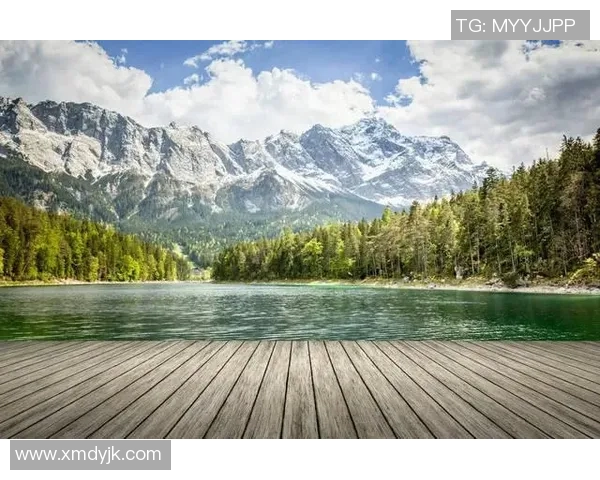 陈伟独家分享攀岩技巧与心得体会助你征服高峰